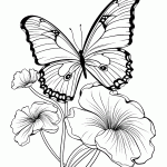 borboleta para colorir