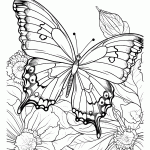 borboleta para colorir