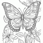 borboleta para colorir