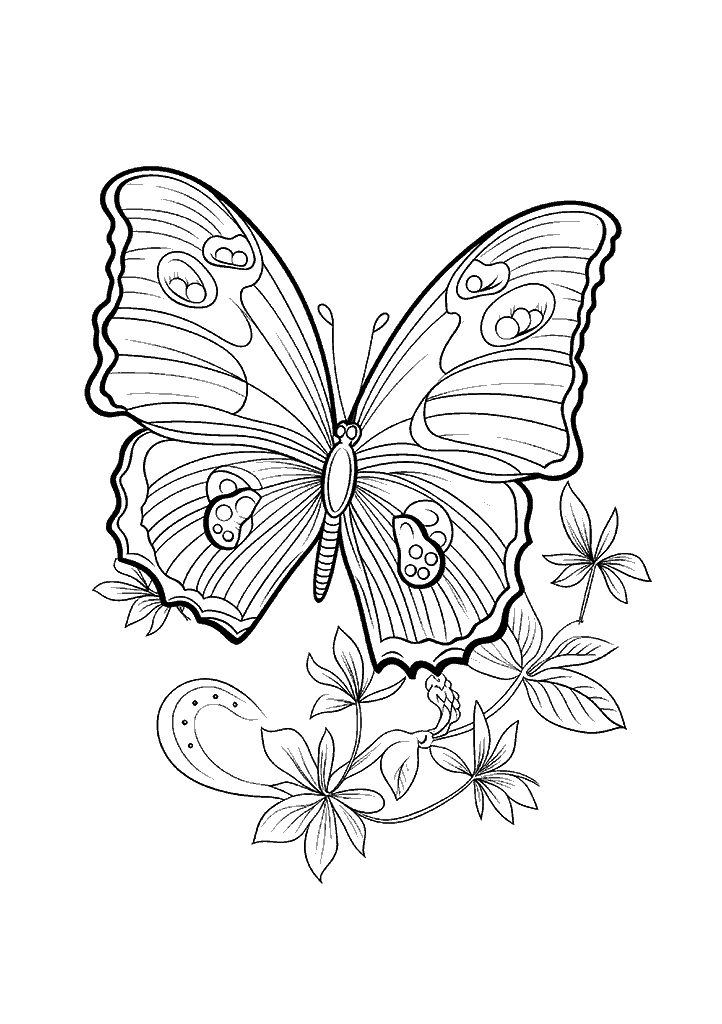 Borboleta Para Colorir 209 - Vem Colorir