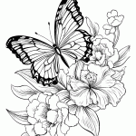 borboleta para colorir
