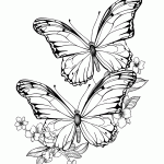 borboleta para colorir