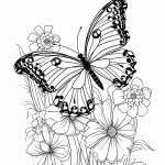 borboleta para colorir