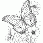 borboleta para colorir