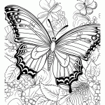 borboleta para colorir