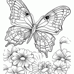 borboleta para colorir