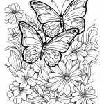 borboleta para colorir