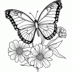 borboleta para colorir