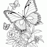 borboleta para colorir