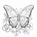borboleta para colorir