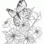 borboleta para colorir