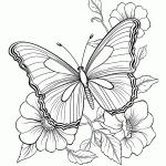 borboleta para colorir