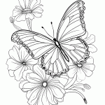 borboleta para colorir