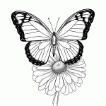 borboleta para colorir