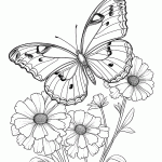 borboleta para colorir