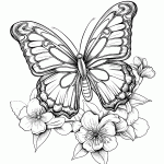borboleta para colorir