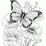 borboleta para colorir