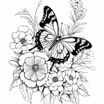 borboleta para colorir