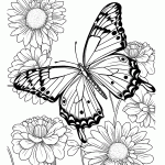 borboleta para colorir