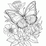 borboleta para colorir