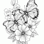 borboleta para colorir