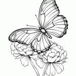 borboleta para colorir