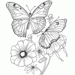 borboleta para colorir