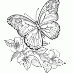 borboleta para colorir