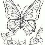 borboleta para colorir