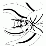 naruto para colorir