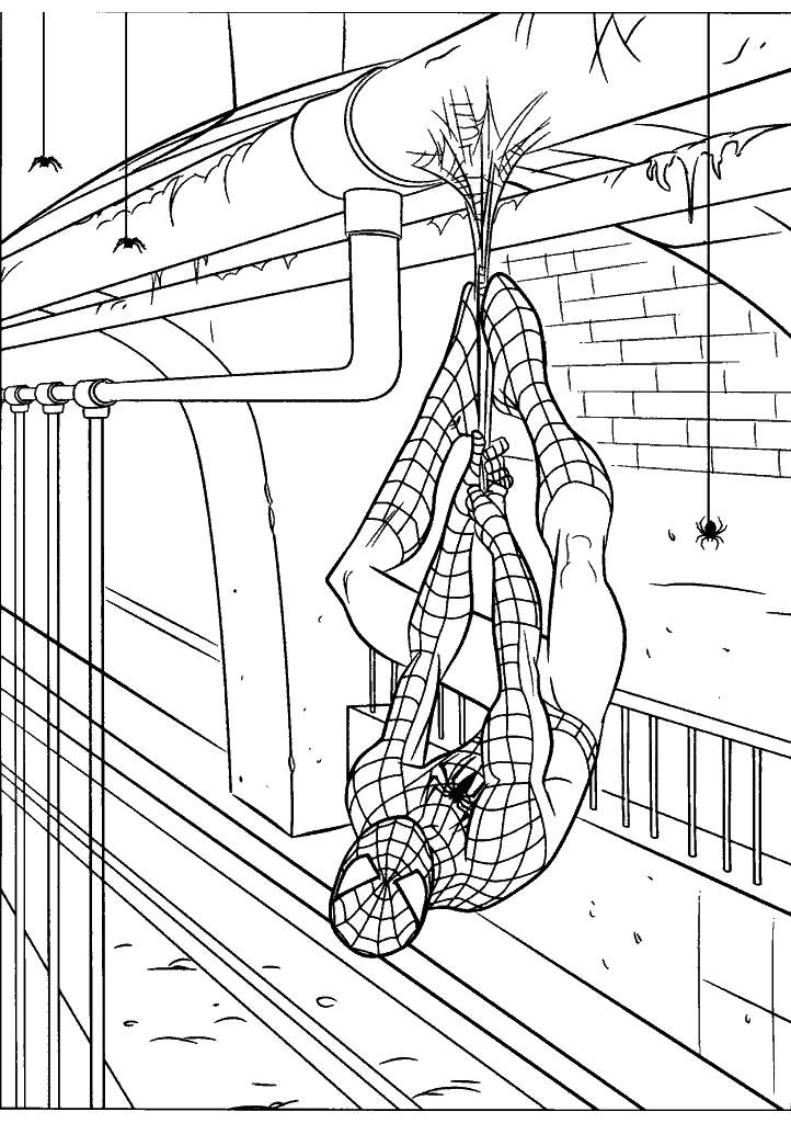 homem aranha para colorir