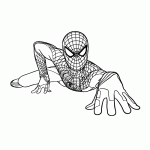 homem aranha para colorir