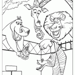 madagascar para colorir