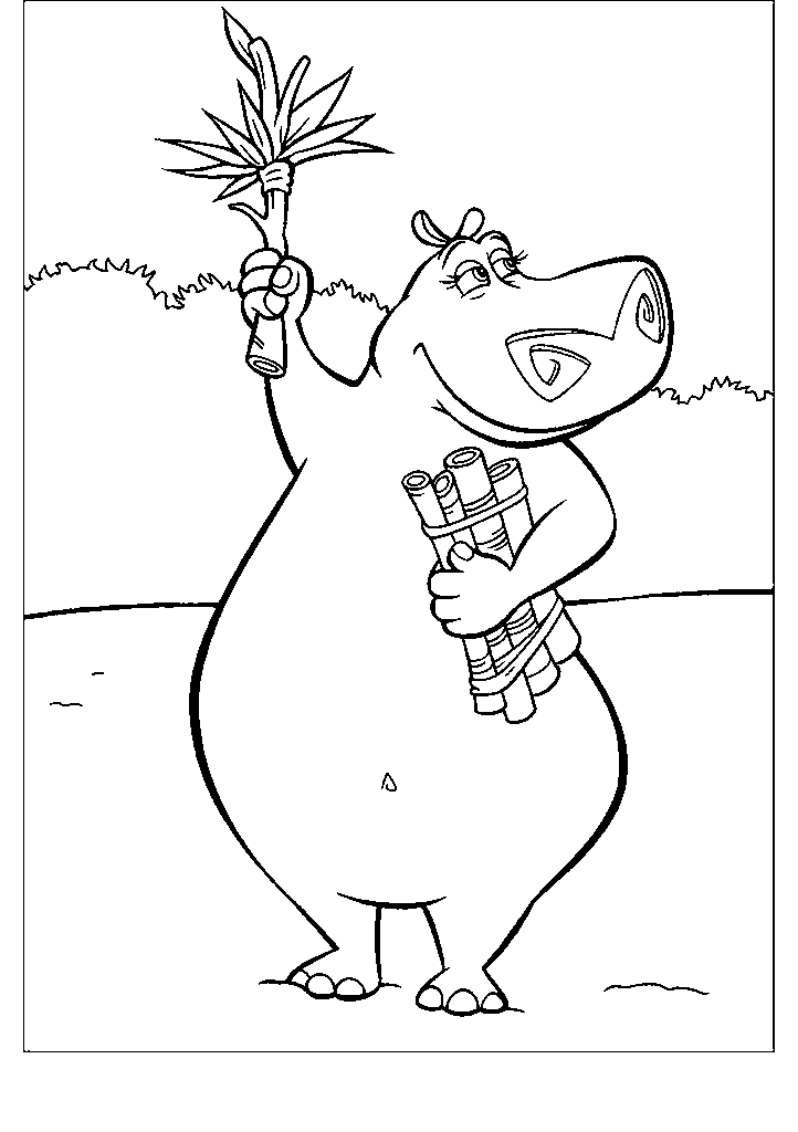 madagascar para colorir