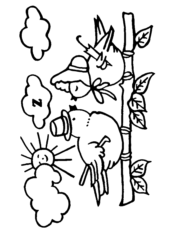 passaros para colorir
