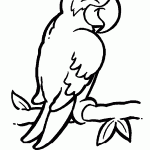 passaros para colorir
