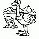 passaros para colorir