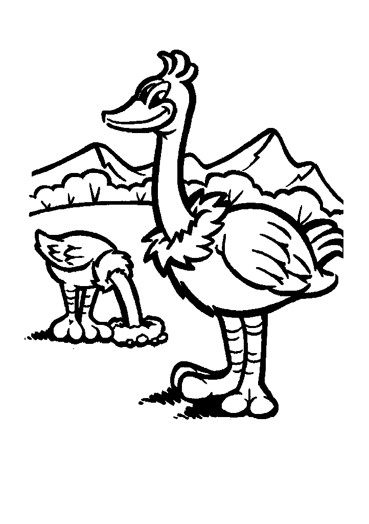 passaros para colorir