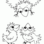 passaros para colorir