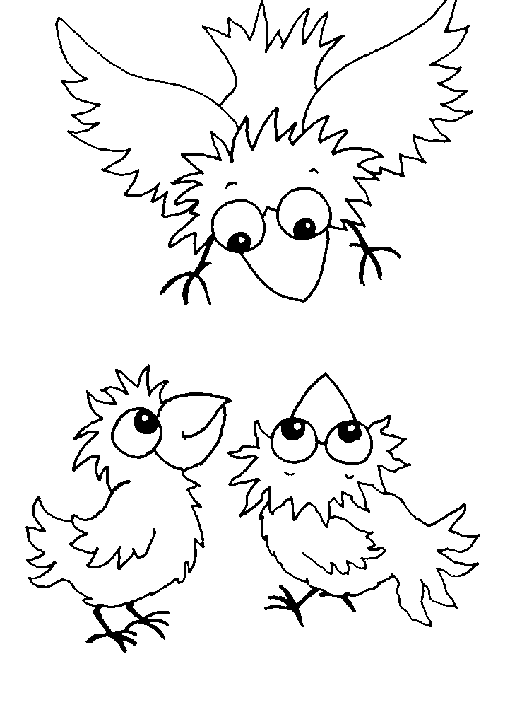 passaros para colorir