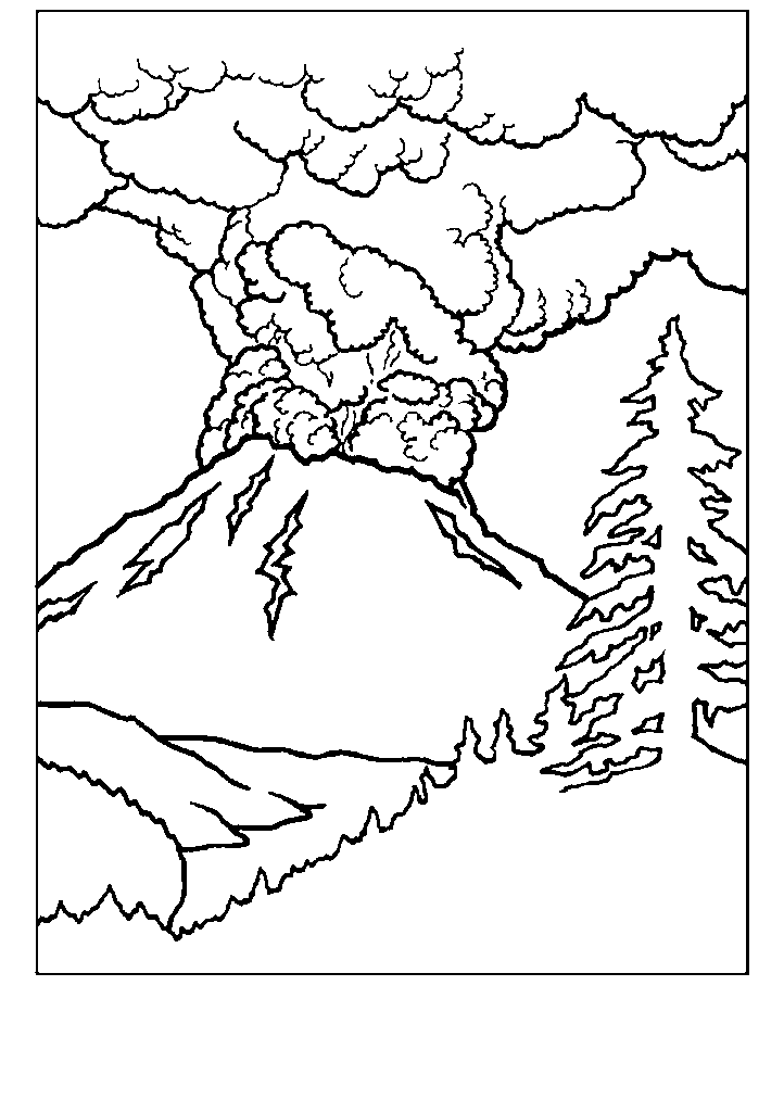 passaros para colorir