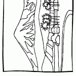 passaros para colorir