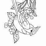 passaros para colorir