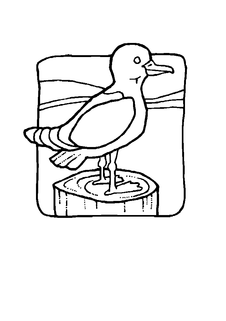 passaros para colorir