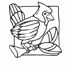 passaros para colorir