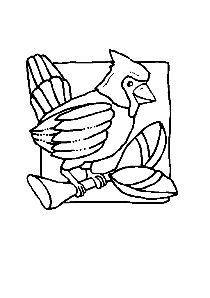 passaros para colorir