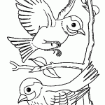 passaros para colorir