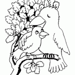 passaros para colorir