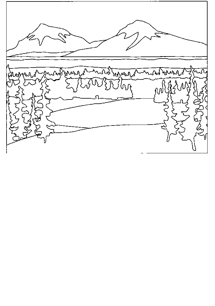 passaros para colorir