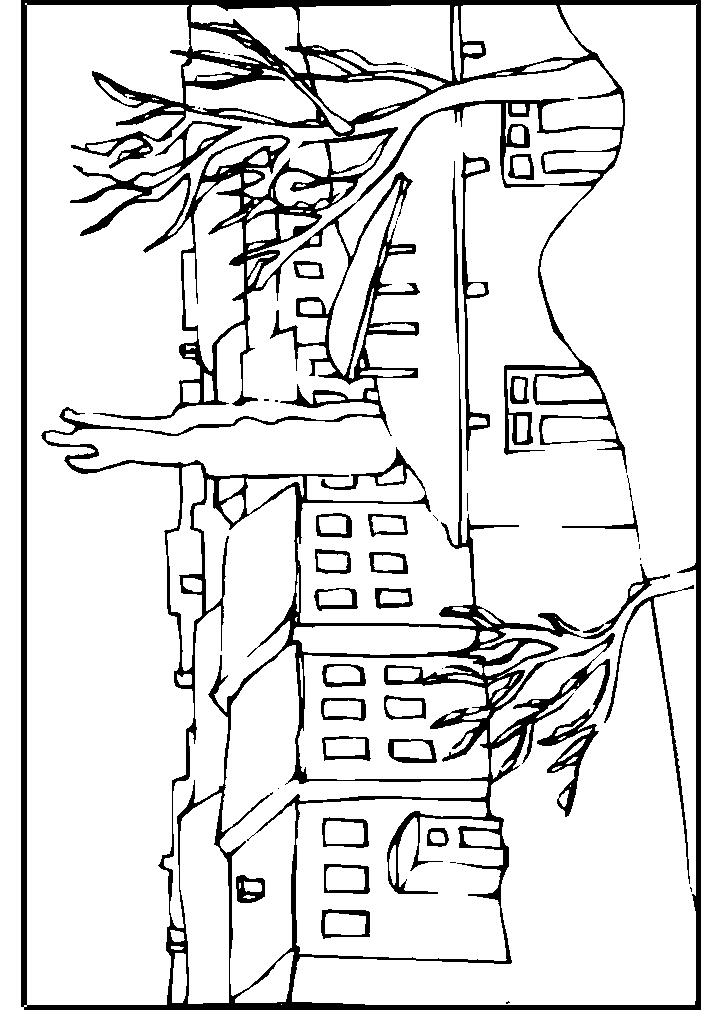 passaros para colorir